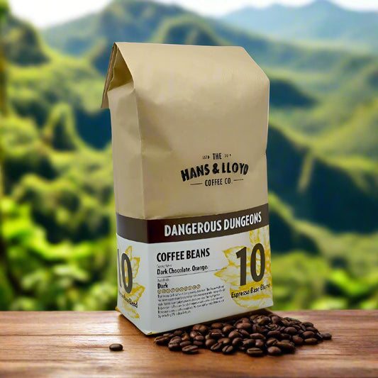 Hans & Lloyd - Dangerous Dungeons