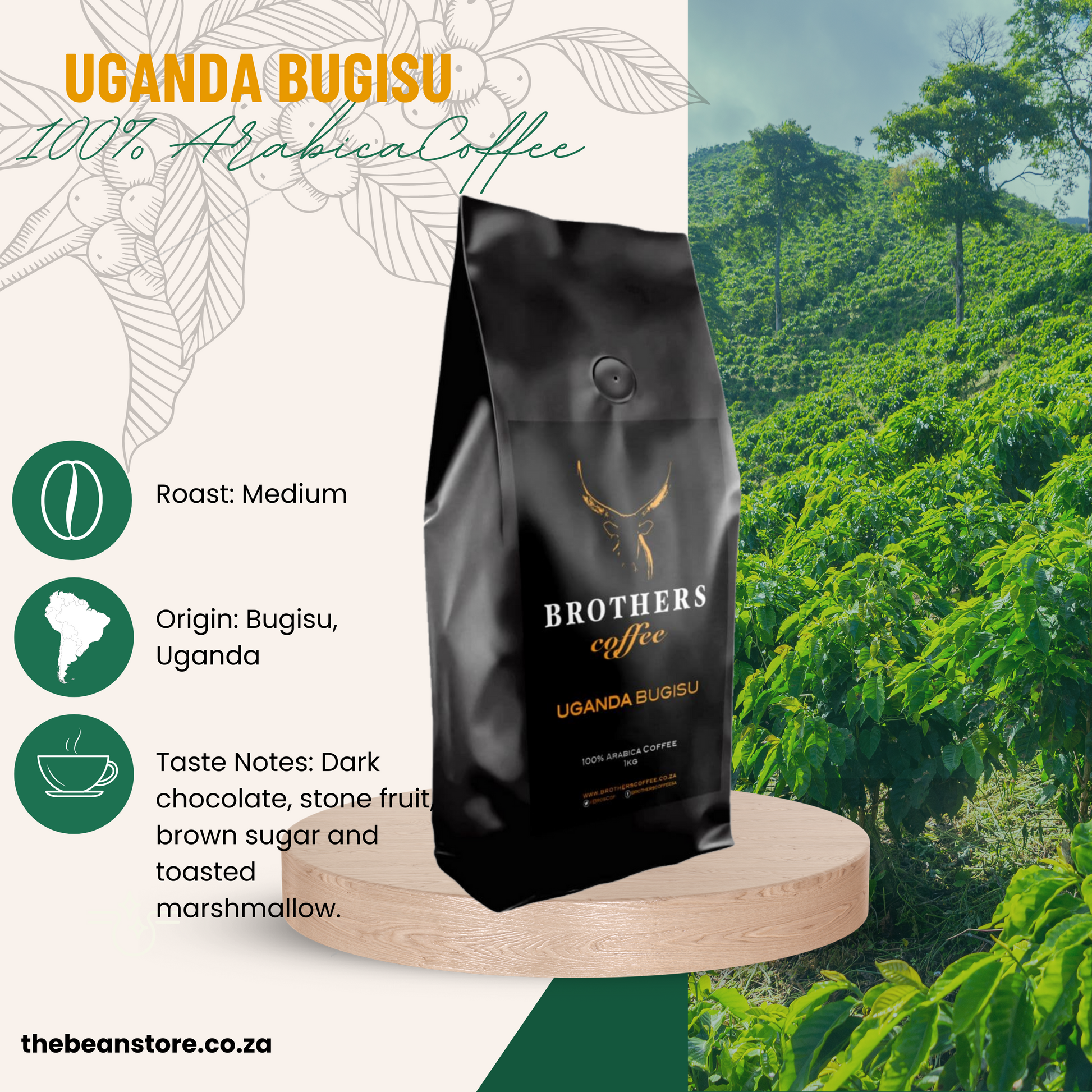 Buy Uganda Bugisu Coffee Online - #1 Best Seller